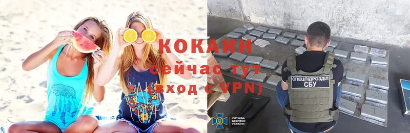 магазин продажи наркотиков  Кремёнки  OMG зеркало  Cocaine 98% 